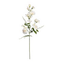 이케아 IKEA 조화 스위트피 화이트 60cm