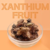 더건강한샵 국내산 창이자 도꼬마리, 1팩, 600g