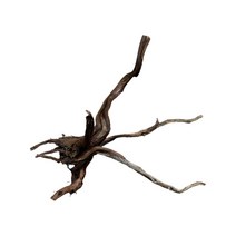 영아쿠아 그로비타 가지 유목 1개