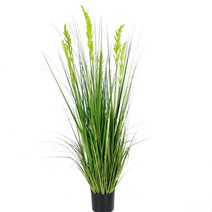 보리갈대 조화 그린 (150cm)