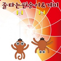 GW756D31 10인용 초등학교교구 거미 과학교구 상상력교구 줄타는 만들기 작동완구 과학아트