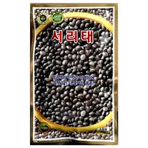 서리태씨앗 30g 검은콩 서리테 검정콩 씨앗, 1개