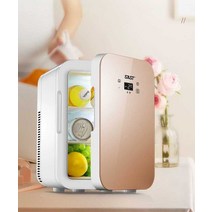 SAST 미니 냉장고 가정용 작업실 화장품 보관, J