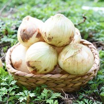 [팔도농장] 22년 아삭 달큰 무안 햇 양파(대) 3kg 5kg 10kg, 1박스
