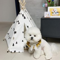 강아지 고양이 포메라니안 비숑 프리제 러시안블루 먼치킨 애완동물 하우스 집 인디언텐트, 푸른하늘별
