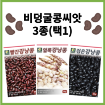 주주씨앗 비덩굴 강낭콩 씨앗 3종 / 얼룩 강낭콩 검정 강낭콩 빨강 강낭콩 / 왜성종 얼룩이 콩 종자 씨 검은색 검은 비넝쿨 키작은, 호랑이강낭콩30g