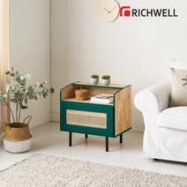 [리치웰] 고무나무 원목 라탄 포인트 거실장 600, 상품:리치웰 고무나무 원목 라탄 포인트 거실장 600
