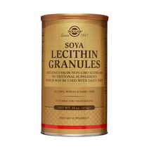 Solgar Lecithin Granules 솔가 레시틴 과립 16oz(454g), 454g, 1팩