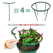 식물지지대 원형 T자 울타리 25cm 화분 화초 지주대 울타리지주대 화초지지대 화분지지대 식물지주대 원형식물지