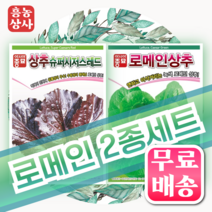 흥농상사 로메인 상추 씨앗 2종세트 적로메인상추 청 로메인상추 무료배송상품, 1개