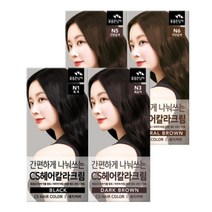 꽃을든남자 CS 나눠쓰는 헤어칼라 염색약 염모제, 3개, N5진한갈색