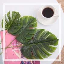 몬스테라잎 모음 몬스테라조화 인테리어조화 잎사귀, H1몬스테라(소)