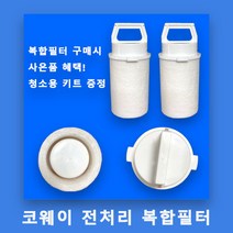 에버퓨어 가정용 고급형 정수필터 H-300 - 가정용