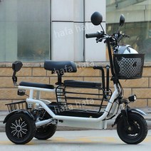 3륜 전기 자전거 성인용 어르신 출퇴근 배달, E. 20Ah약80km