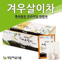 박달재 겨우살이차(곡기생) 1박스(50봉) 차/건강/식품/웰빙/음료, 0없음