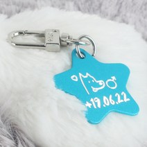 왈가독 강아지 고양이 무료각인 키링 인식표 이름표 D형고리형 (별형), C05.별형-스카이블루