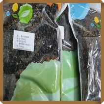 오가피열매(국내산)600g 오갈피 말린 건 오가피 삼계탕재료 가시오가피, 1개