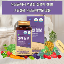 출산후철분제 비헴철 여성철분제 유산균철분제 어린이철분제 청소년철분제 산모철분제 그린철분 임산부 수유부 산모 임신준비 생리중 생리 월경 남자 남성 철분제제 철분 철분유산균 미강유, 1통_(3개월분)