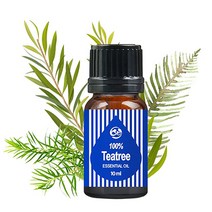 세이프 천연 아로마 티트리 에센셜오일 10ml 피부진정, 단품