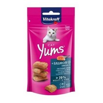 비타크래프트 캣얌 연어 40g, 단일 수량