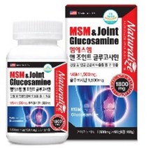 라이즈 미국 엠에스엠 앤 조인트 글루코사민(60정)MSM, B-5405미국관절MSM