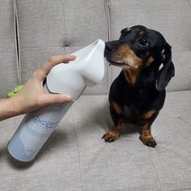 에어리아 반려동물 휴대용 산소캔/강아지건강용품, 1개, mr@;,:> 본상품선택” class=”wr-img”></a></div>
</div>
</div>
</div>
<div class=