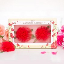카네이션 코사지 세트