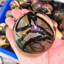 암모나이트화석 삼엽충화석 나무화석 천연 격막 구 격막 천연 드래곤 돌 격막 화석 크리스탈 구 볼 치유 1 개, 6-7cm