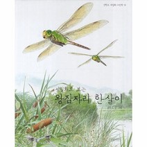 웅진북센 왕잠자리 한살이 세밀화로 보는 -6 권혁도 세밀화 그림책