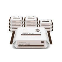 아이캔 트레이닝 비데티슈 도톰한물티슈 42매 캡 9팩, 베베숲 손세정 물티슈 20매 리필