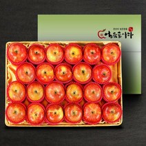 [산내들]명품 밀양얼음골 사과 5kg(21-23과)