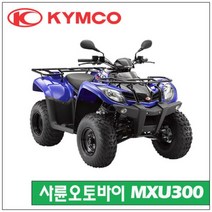 (KYMCO 킴코 ATV MXU 300 킴코