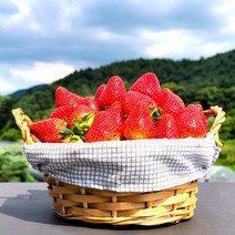 겨울 설향 딸기 300g 2상자 생과 or 데코용, 데코용 금실 딸기 20-30과 2상자