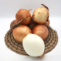 올바른새움푸드 국산 100% 양파 햇양파 달달한 양파, 거금도양파 5kg, 1개