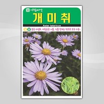슬로시 꽃 씨앗 모음 꽃씨 허브 허브씨, 개미취100립(아람)