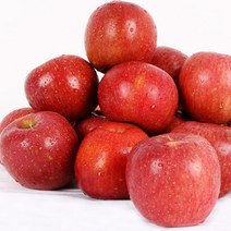 [산지직송] 경북 의성 사과 부사 10kg(47~50과내외), 단품