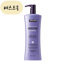 [해외] 커클랜드 시그니처 프로페셔널 살롱 포뮬러 모이스처 샴푸 1 L 베스트몰 미국직구, 1개, 1L