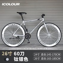 비앙키 로드자전거 26인치 30도 40도 60도 픽시 바이크 달리는 2발 생활형 MTB, 단일사이즈, 티타늄 실버 26인치 60도