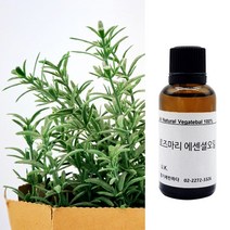 향기에반하다 로즈마리 E.O 천연 아로마 에센셜 오일 30ml 50ml 100ml 풀잎향 기억력 학생 친환경 디퓨저 방향제 캔들 향료 비누만들기, 로즈마리 천연 아로마 에센셜 오일 100ml