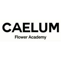 CAELUMFLOWER 케룸플라워 HEART FLOWER HANDTIED 하트꽃다발 ROSE 장미 인천꽃배달 부천꽃배달 서울꽃배달