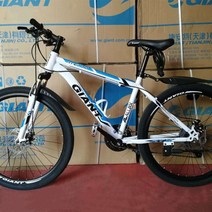 전기 산악자전거 MTB 광폭타이어 입문 출퇴근용 산악 자전거 한 바퀴 스포츠카 성인 학생용 오프로드 레이, 03 3_02 26inch