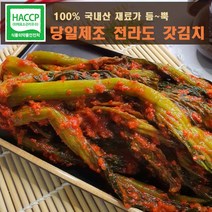 [ 당일제조] 국산 재료 100% 톡 쏘는 맛이 일품인 전라도 여수 돌산 갓김치, 10kg