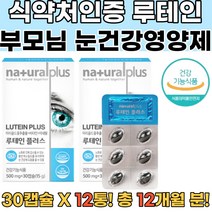 식약처인증 황반색소밀도유지 루테인 비타민 아연12통 비문증 아이브라이트 비문증영양제 망막변성영양제 황반변성영양제 지아잔틴영양제 황반변성수술 눈영양제루테인 눈이물감 눈건조 각막 망막박리