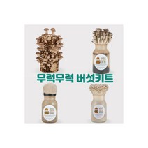 무럭무럭 버섯키우기 키트 표고 느타리 노루궁뎅이 119413