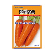당근씨앗 춘강당근 5000립 재배 용이 다수확 품종, 단품