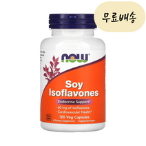 이롭가게 나우(NOW) 이소플라본 대두 콩 단백질 피토케미컬 식물성 에스트로겐 120식물성캡슐, 1개, 120정, 120개