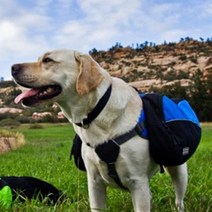 [에이치플러스몰] D17 애견용 배낭 카이젠 아웃도어 백팩 XL, 옵션1:그린