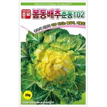 봄동 배추 씨앗 500g 춘동 102 노균병 내서성 강함 맛 좋은 종자 노지 월동 재배 배추김치 텃밭 채소 농사