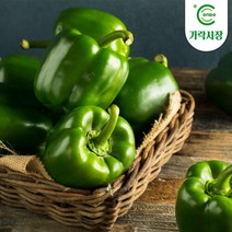 [온도씨]가락시장 청피망 500g, 단품