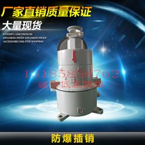 콘센트플러그 AC16 알루미늄 합금 방폭 16A 220 380V 2269513022, 1, AC-16A (220v )직삽입식